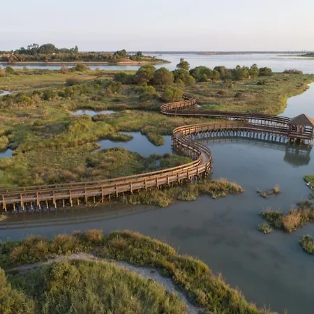 アパート Comfy Flat In Rosolina With Shared Pool ロゾリーナ・マーレ