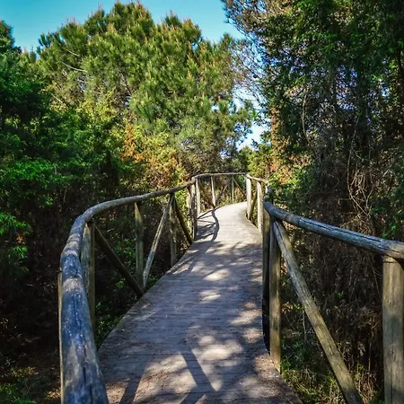 Апартаменты Comfy Flat In Rosolina With Shared Pool Розолина-Маре