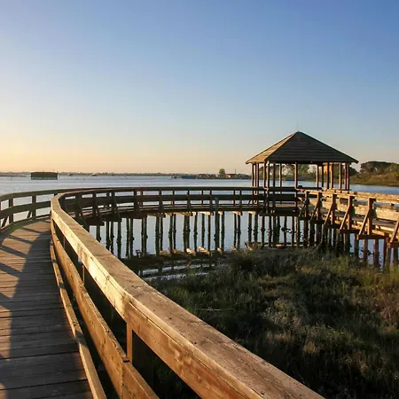 Comfy Flat In Rosolina With Shared Pool Appartamento