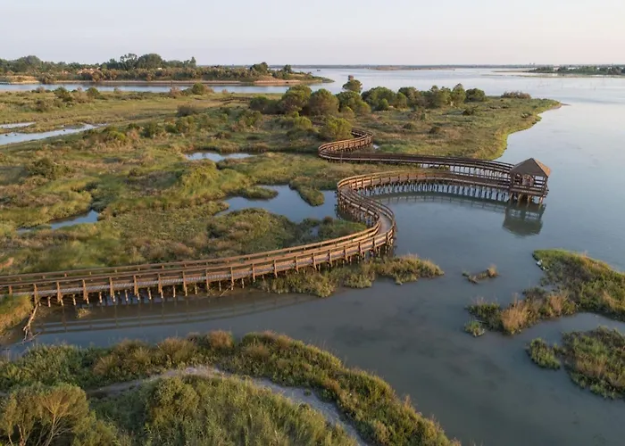 Apartment Comfy Flat In Rosolina With Shared Pool Rosolina Mare