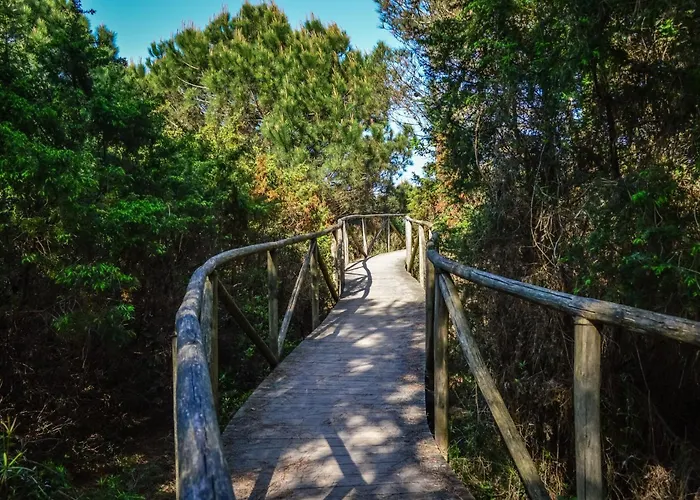 Apartment Comfy Flat In Rosolina With Shared Pool Rosolina Mare