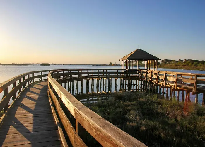 Comfy Flat In Rosolina With Shared Pool Apartment